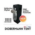 DOBERMANN TENT 40X40X120 CM